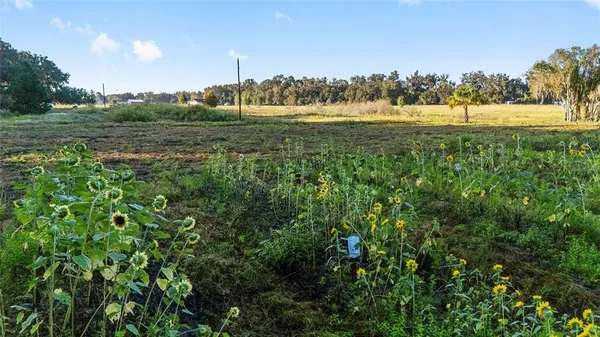 a view of a lake with a mountain in the background