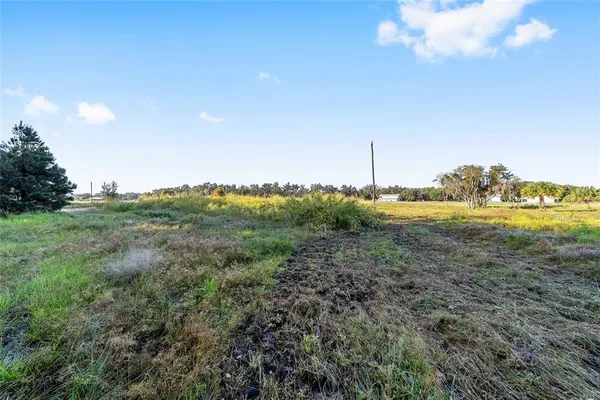 a view of a big yard with lots of green space