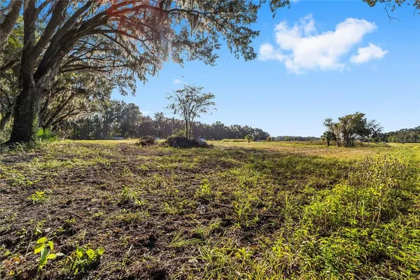 a view of a lake with houses in the back