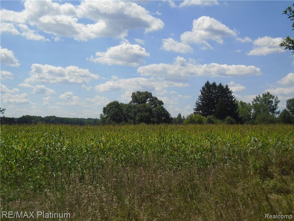 D 2 Germany Road Fenton, MI 48430 - Photo 21 of 27