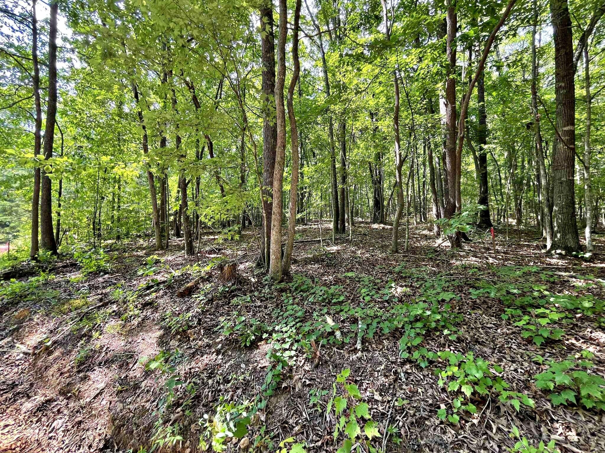 2 Raby Hollow Road Kingston, TN 37763 - Photo 2 of 13