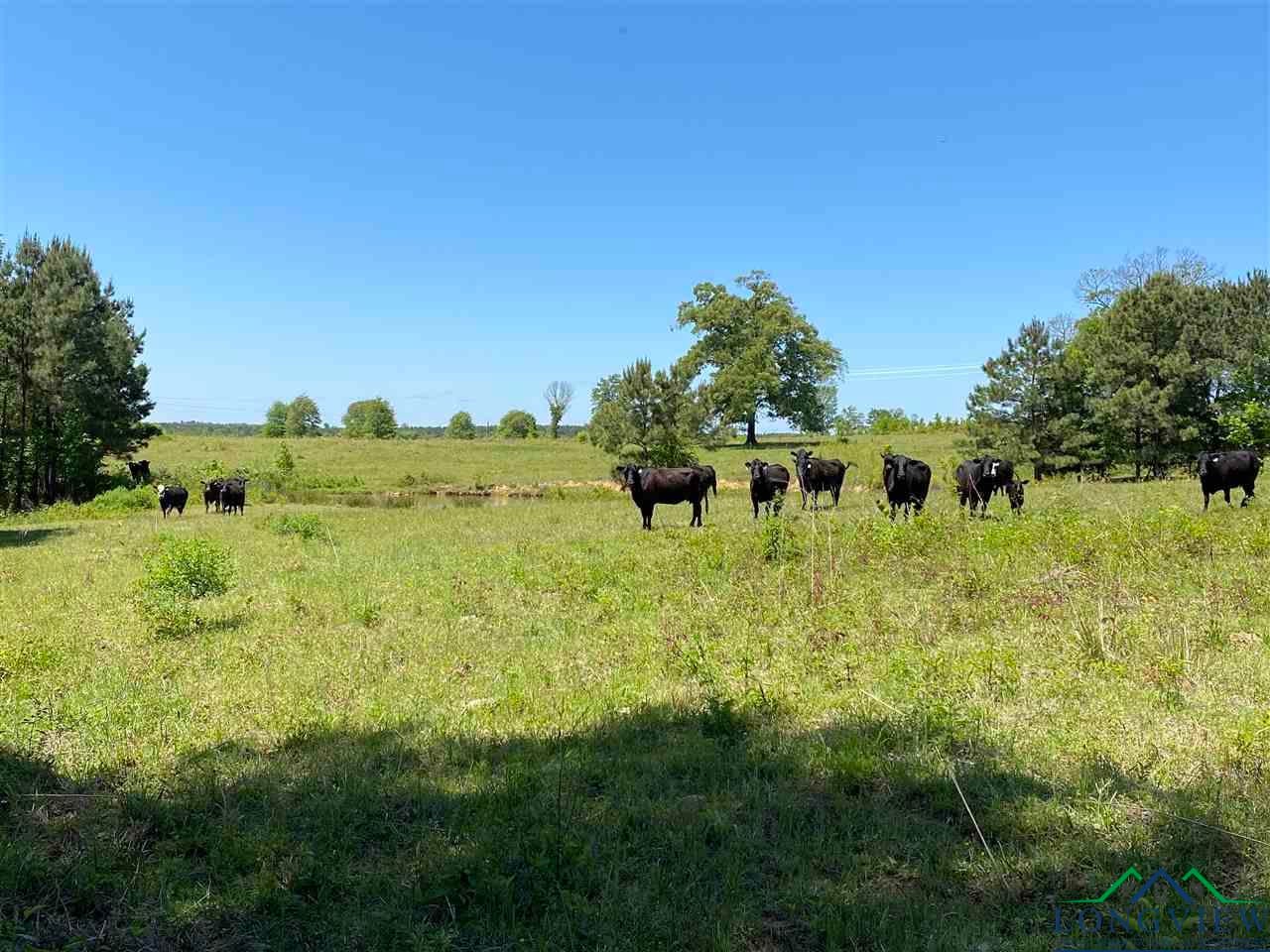 Tbd Orchid Road Ore City, TX 75683 - Photo 23 of 36 Gallery Image 23