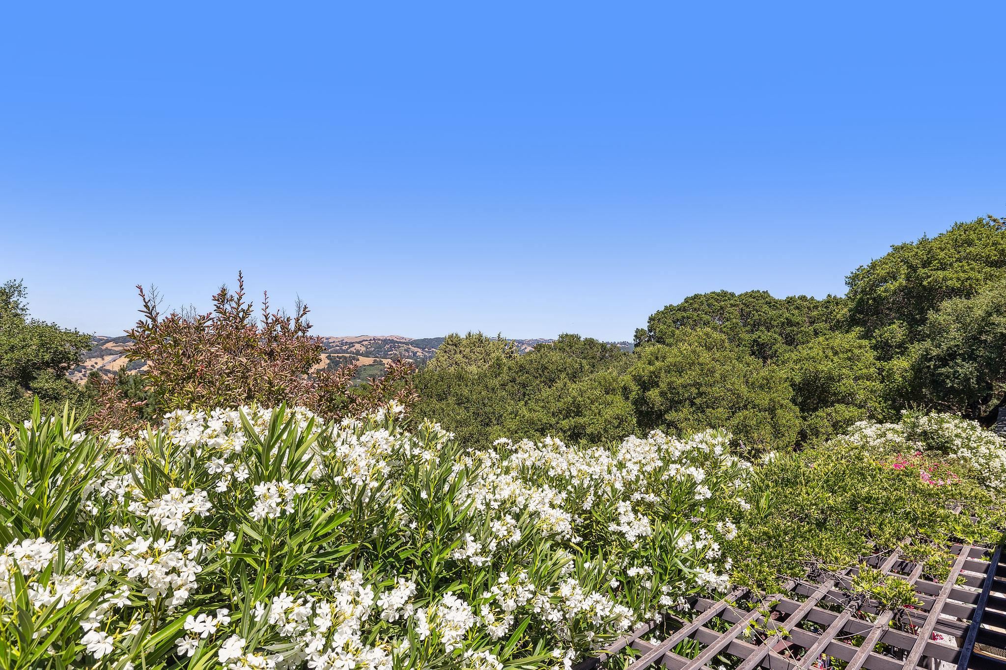 271 Monte Vista Ridge Road Orinda, CA 94563 - Photo 48 of 59 View of local wilderness
