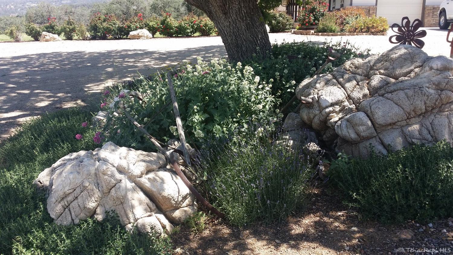 19824 Banducci Road Tehachapi, CA 93561 - Photo 27 of 42 Gallery Image 27