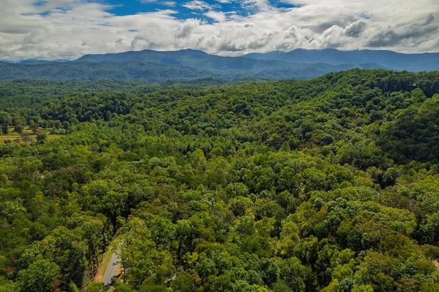 a view of a lush green outdoor space with a lake view