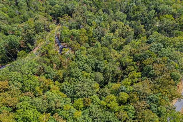 a view of a large yard with lots of green space