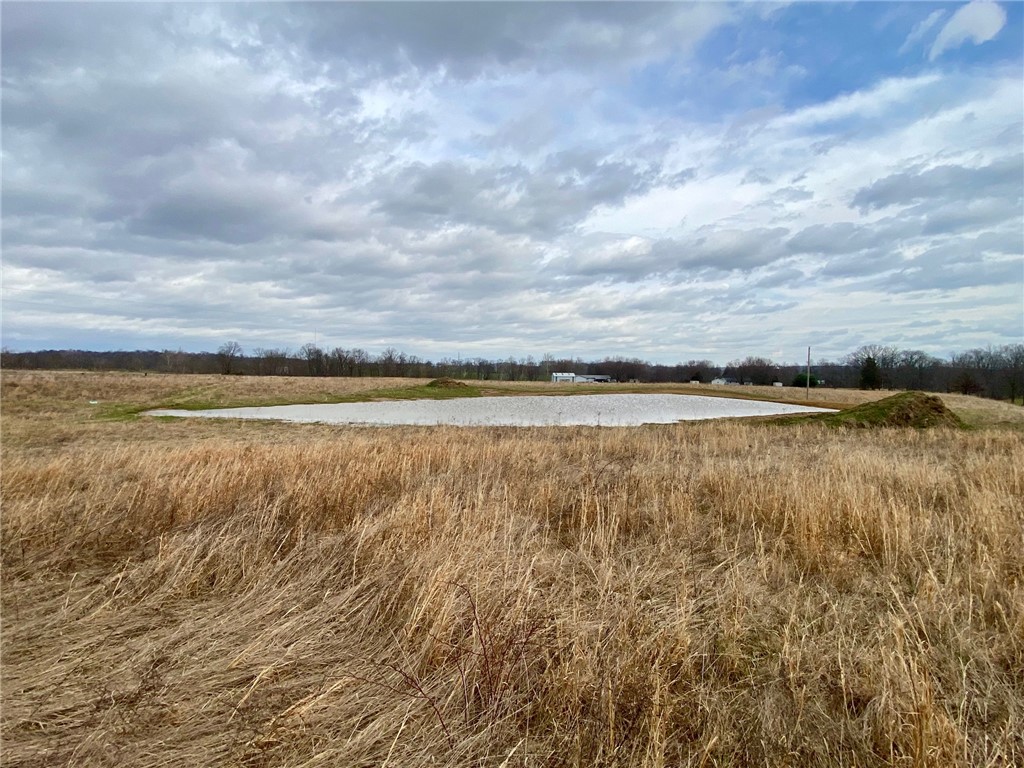 77 Wildcat Road Winchester, OH 45697 - Photo 17 of 19 Expansive natural landscape with a serene pond offers peaceful rural living.