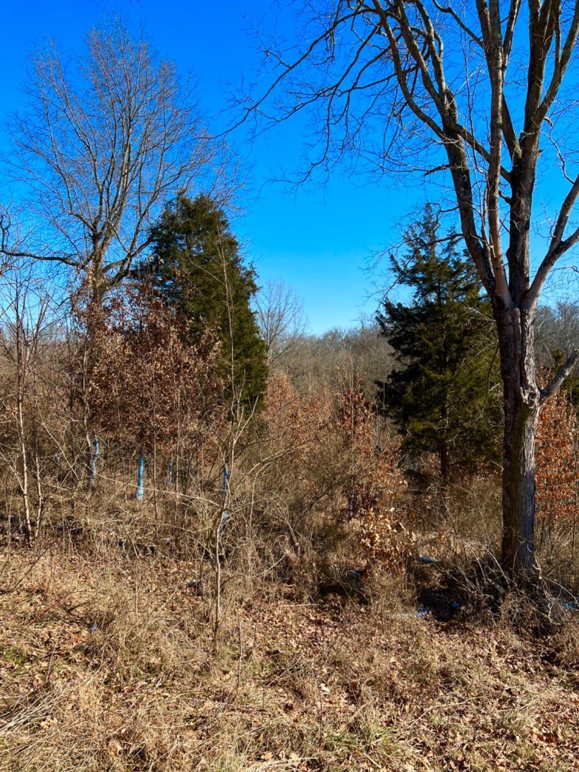 0 Balcony Hills Road Aberdeen, OH 45101 - Photo 39 of 50