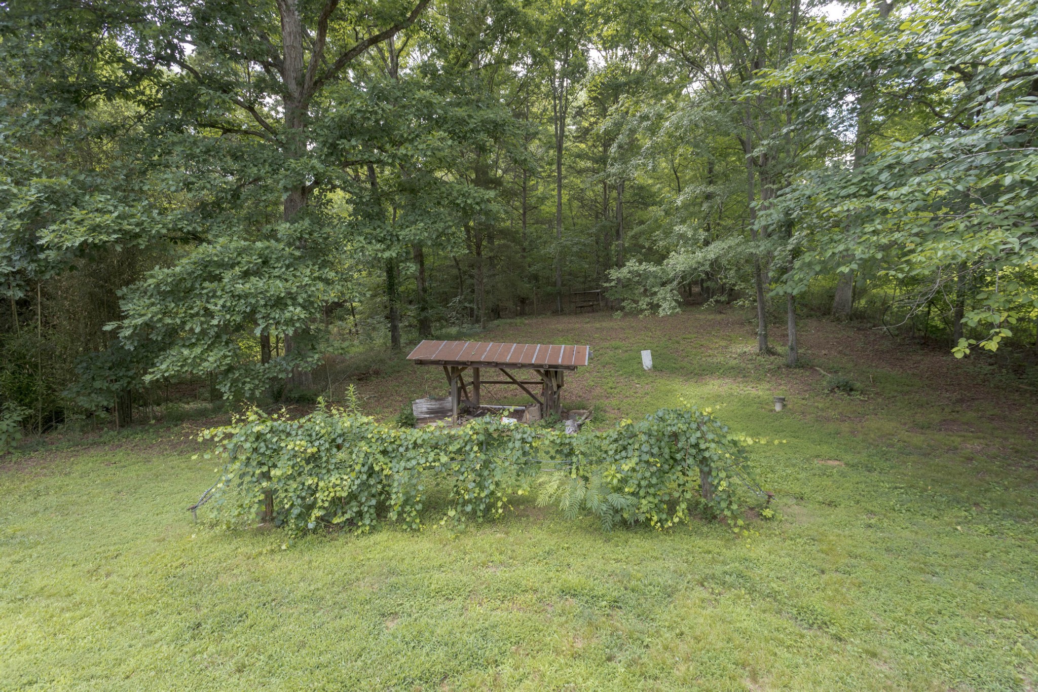 547 Van Davis Road Georgetown, TN 37336 - Photo 22 of 24