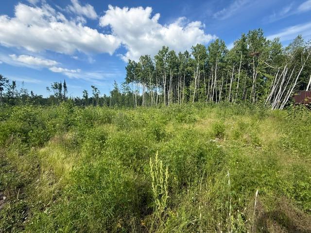 Tbd North Moose Lake Road Northeast Pennington, MN 56663 - Photo 13 of 26