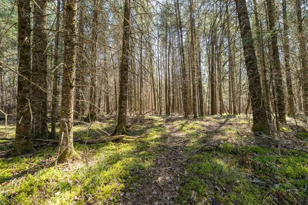 $36,500 | 0 Clover Road South, Winter, WI 54896