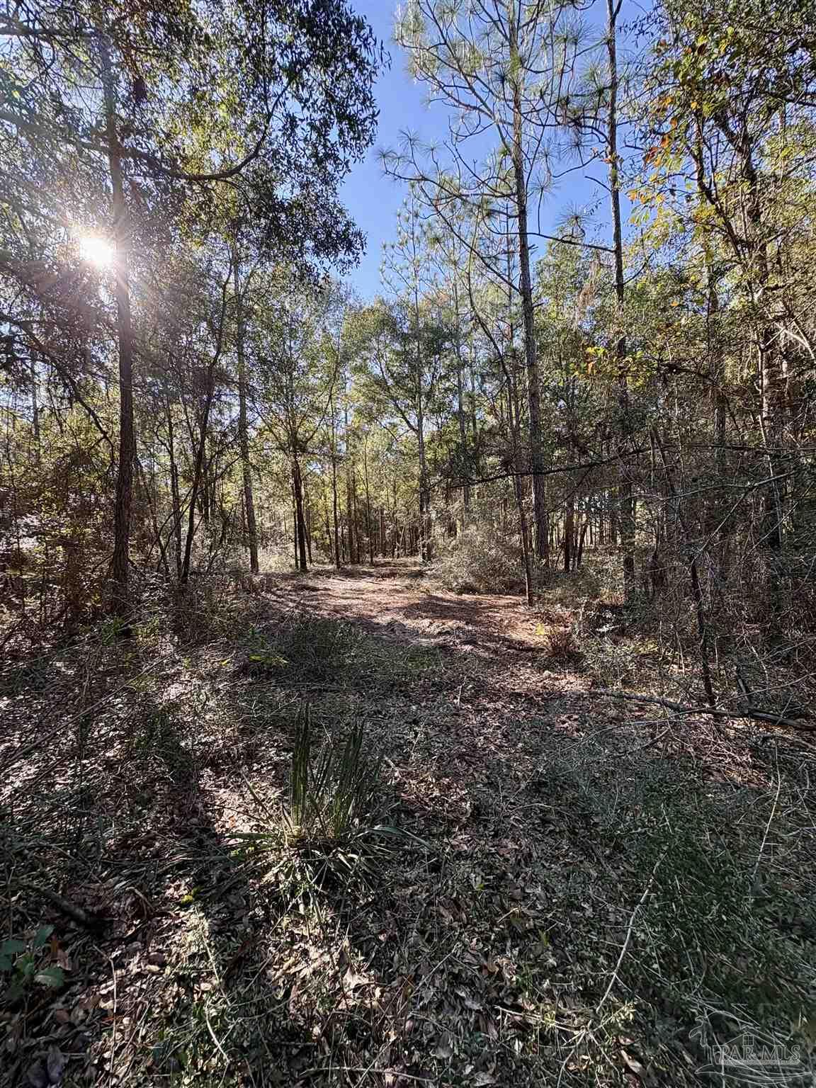 Adams Road Crestview, FL 32536 - Photo 3 of 5 a view of outdoor space with trees