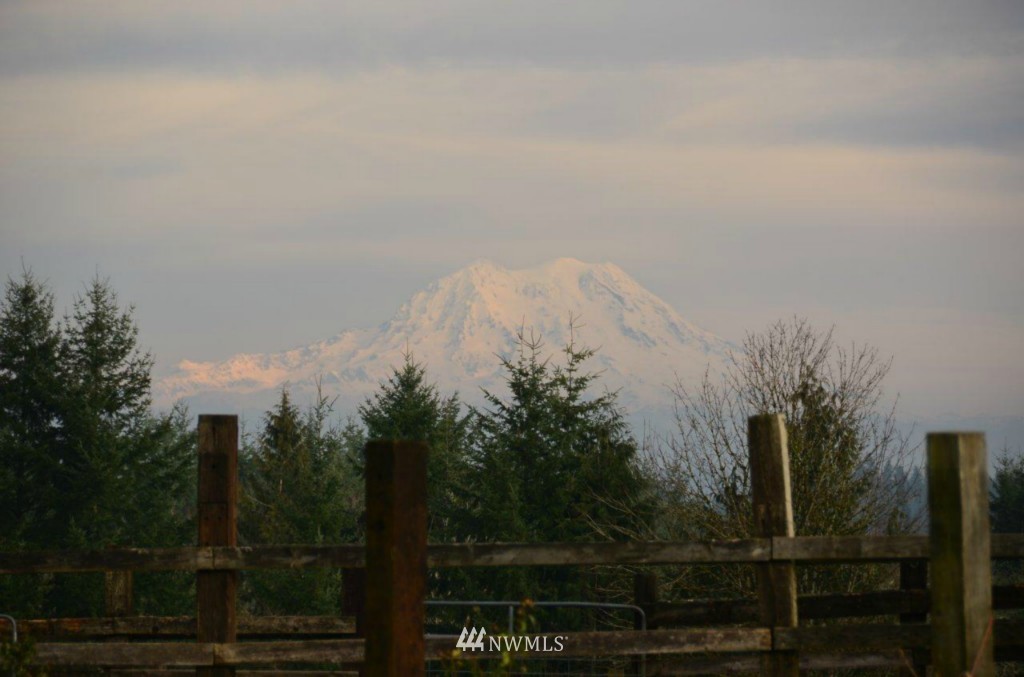 21147 Michigan Hill Road Southwest Rochester, WA 98579 - Photo 15 of 15