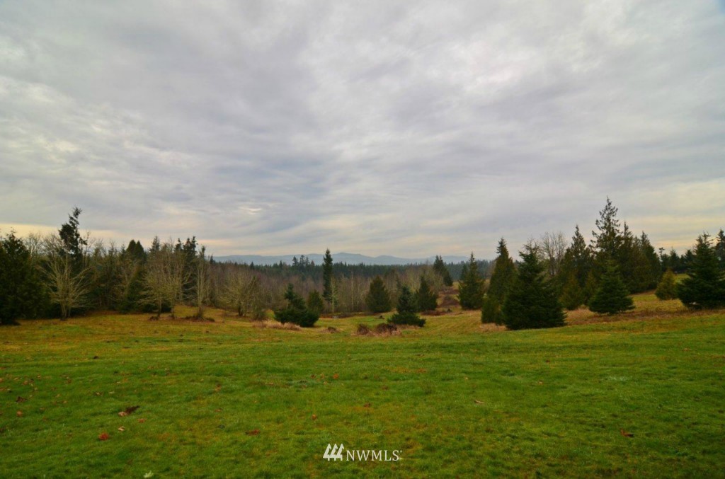 21147 Michigan Hill Road Southwest Rochester, WA 98579 - Photo 4 of 15