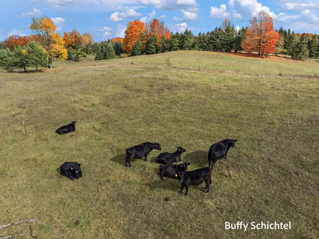 $365,000 | 20017 7 Mile Road, Reed City, MI 49677