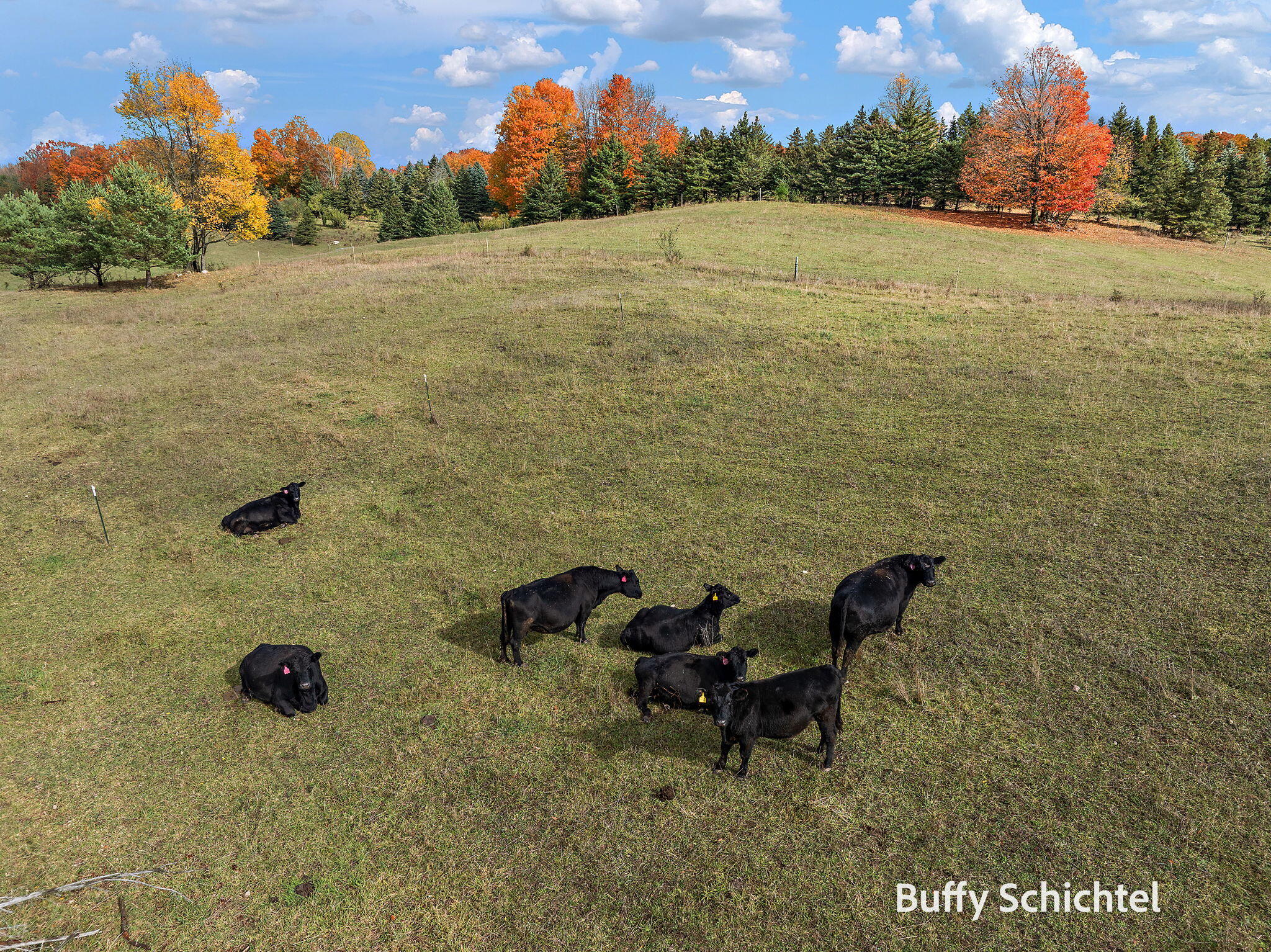 20017 7 Mile Road Reed City, MI 49677 - Photo 68 of 80 20017 7 Mile Road, Reed City