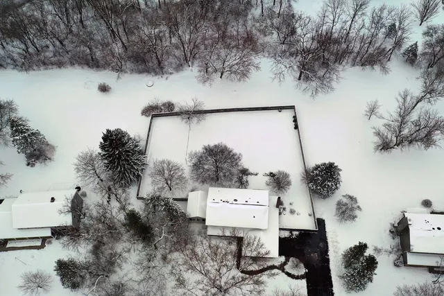 a view of a pathway with a tree