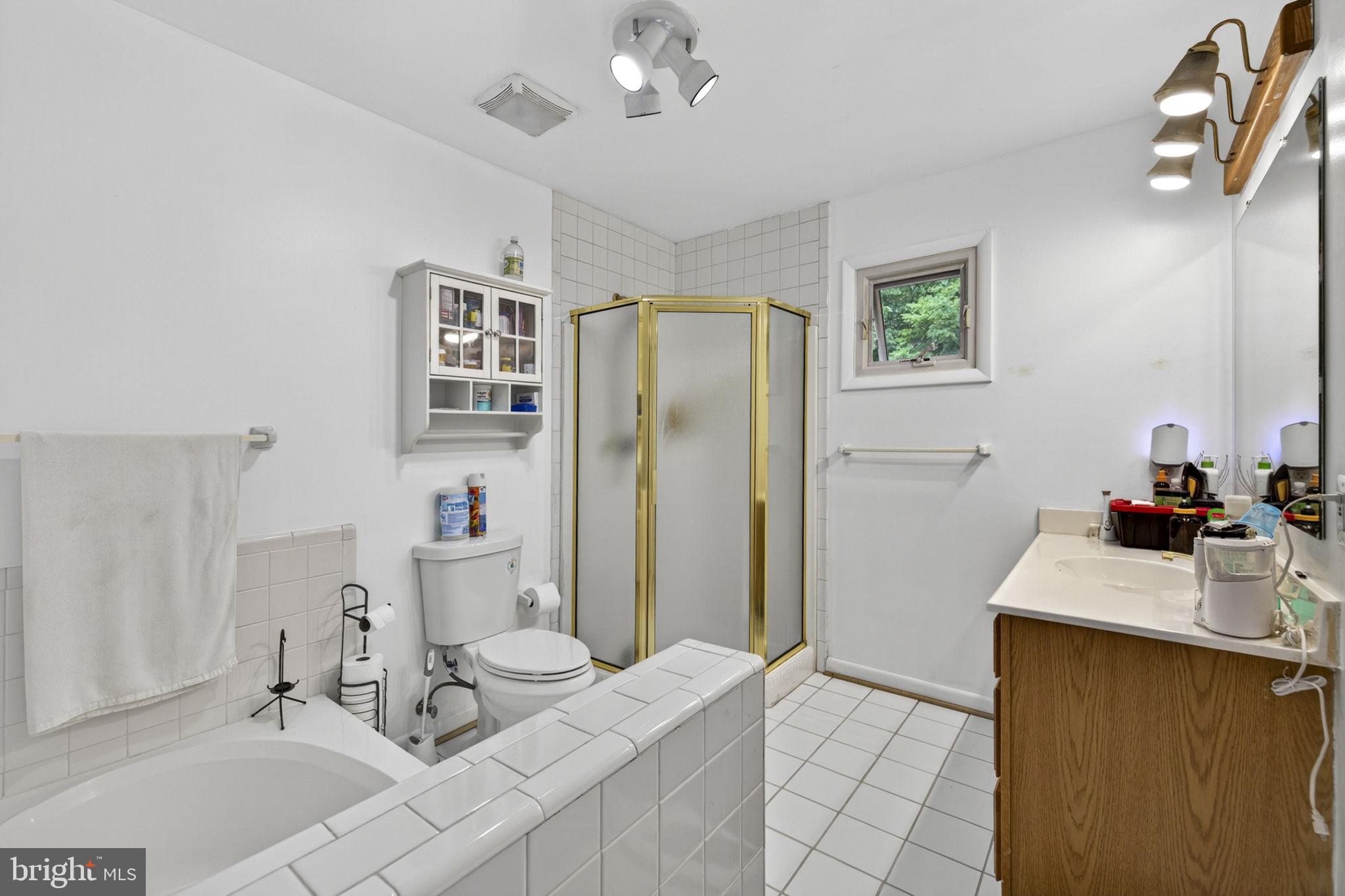 41726 Stumptown Road Leesburg, VA 20176 - Photo 25 of 91 Primary Ensuite with Soaking Tub and Stall Shower