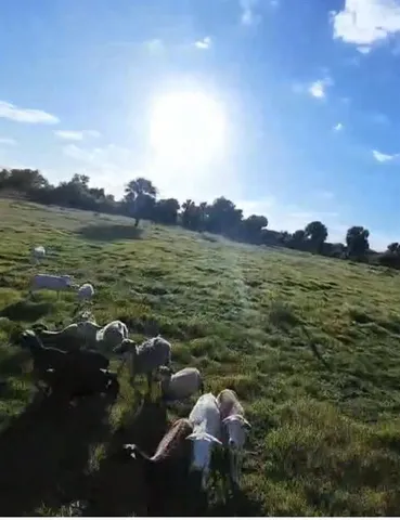 $599,900 | 0 Northwest 240th Street, Okeechobee, FL 34972