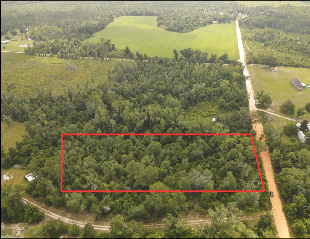 Scott Church Road Marianna, FL 32448 - Photo 1 of 1 Gallery Image 1