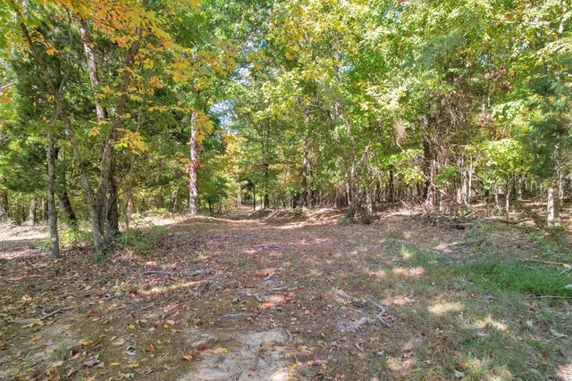 $1,349,900 | 796 Daisy Circle, Cumberland Furnace, TN 37051