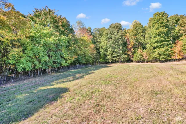 $1,349,900 | 796 Daisy Circle, Cumberland Furnace, TN 37051