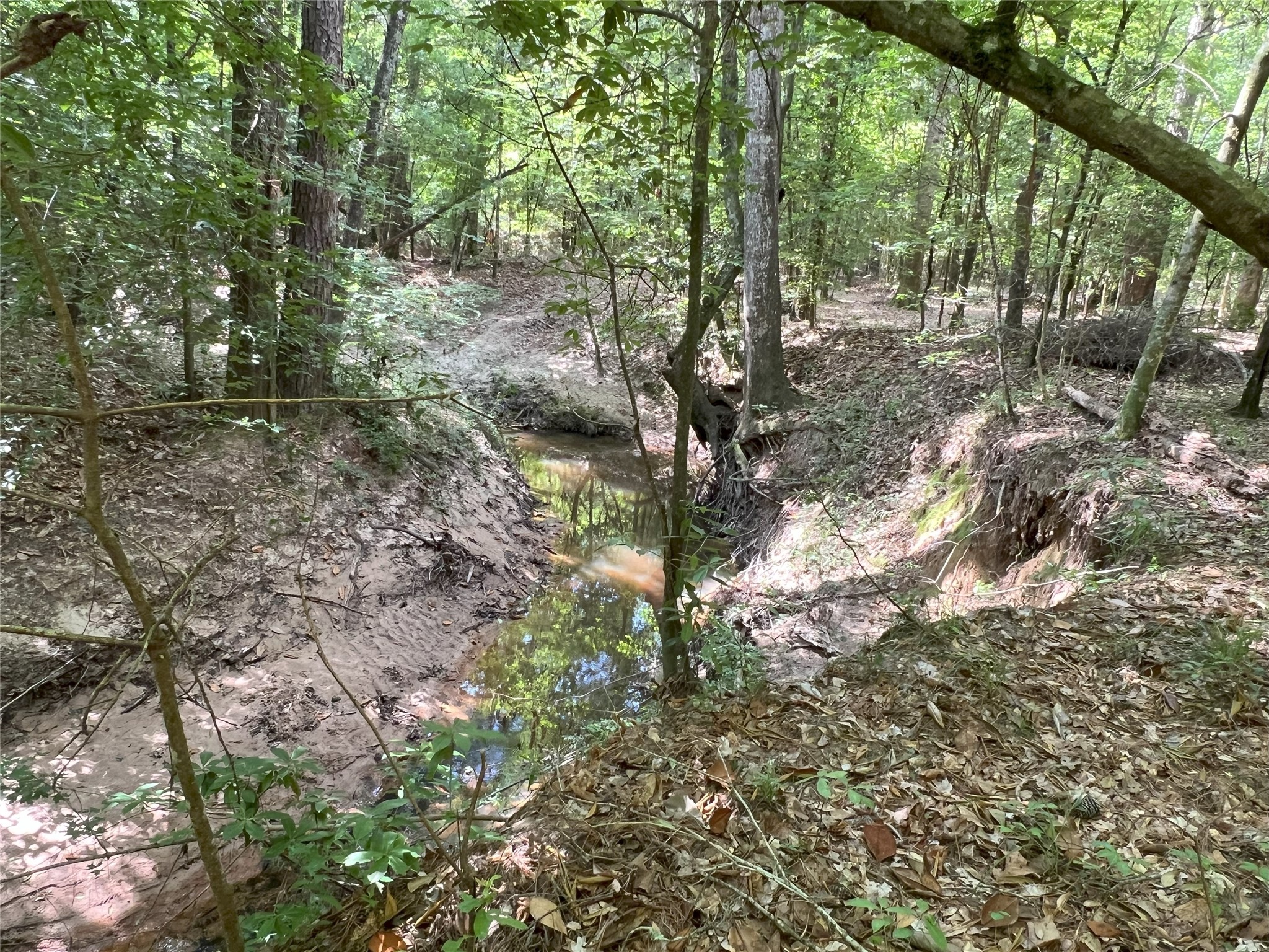 Tbd Tbd Road Livingston, TX 77351 - Photo 2 of 23 a backyard of a house with lots of green space