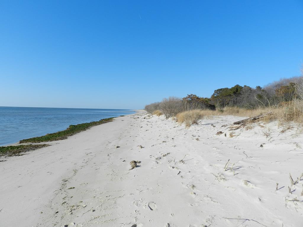 Lot 162 Church Neck Road, Unit 162 Machipongo, VA 23405 - Photo 4 of 13
