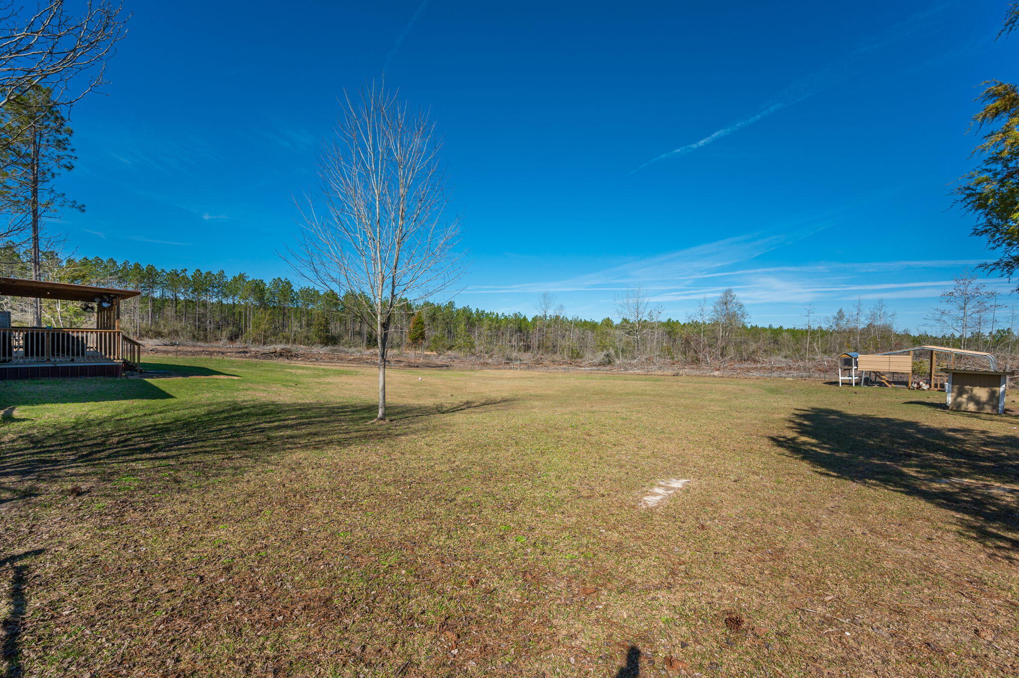1078 Wallace Road DeFuniak Springs, FL 32433 - Photo 36 of 46 a view of a field with an trees