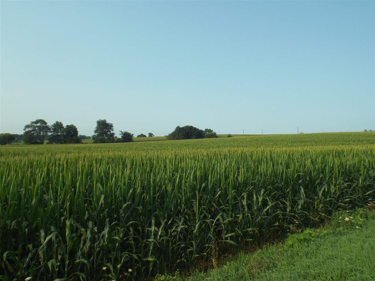 Tbd Scheider Road Freeport, IL 61032 - Photo 2 of 7 a view of a field with a wooden fence