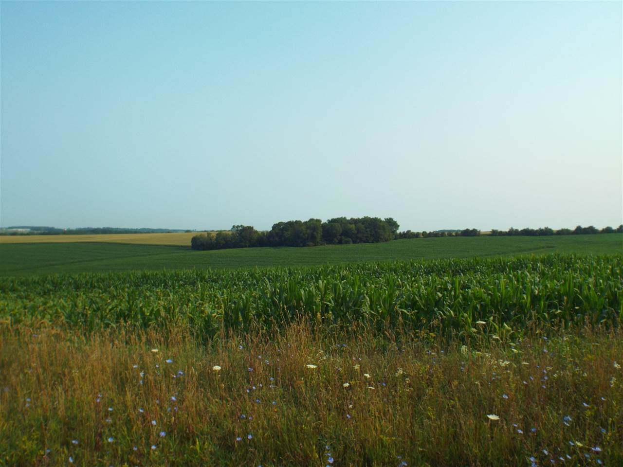 Tbd Scheider Road Freeport, IL 61032 - Photo 5 of 7 a view of lake background and mountain