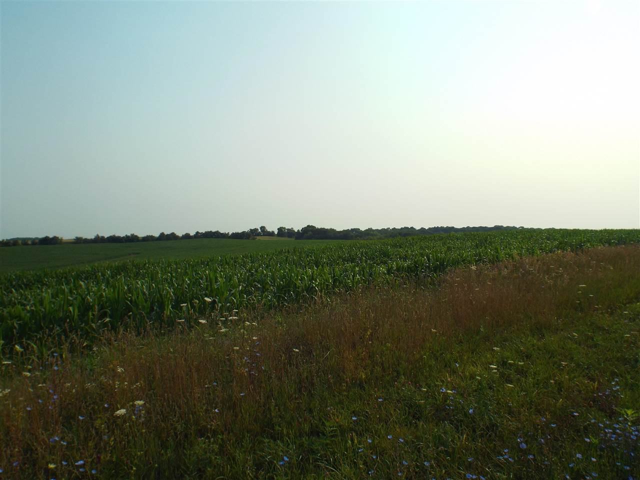 Tbd Scheider Road Freeport, IL 61032 - Photo 6 of 7 a view of lake
