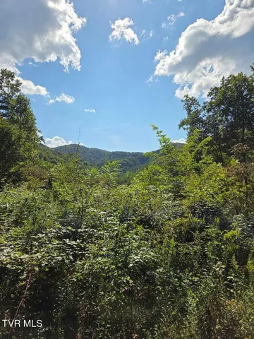 $74,900 | Tbd Tiger Creek Road, Unit 1, Roan Mountain, TN 37687