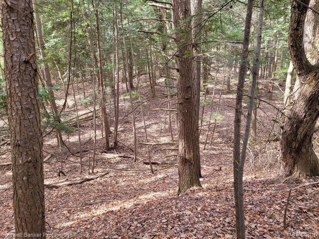 0 Conley Road Attica, MI 48412 - Photo 33 of 48 Gallery Image 33