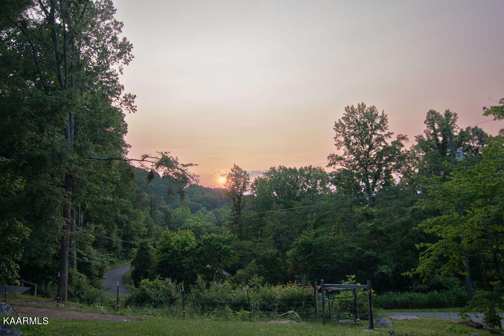 414 Boat Gunnel Road Townsend, TN 37882 - Photo 5 of 48 Gallery Image 5