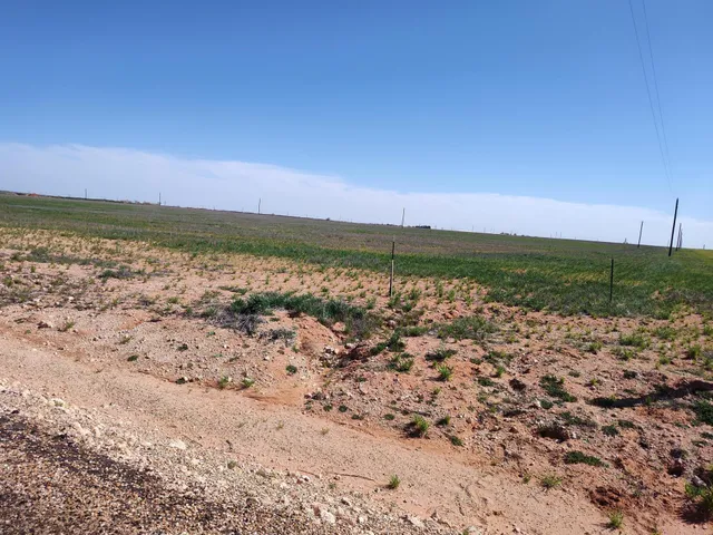 a view of an ocean beach