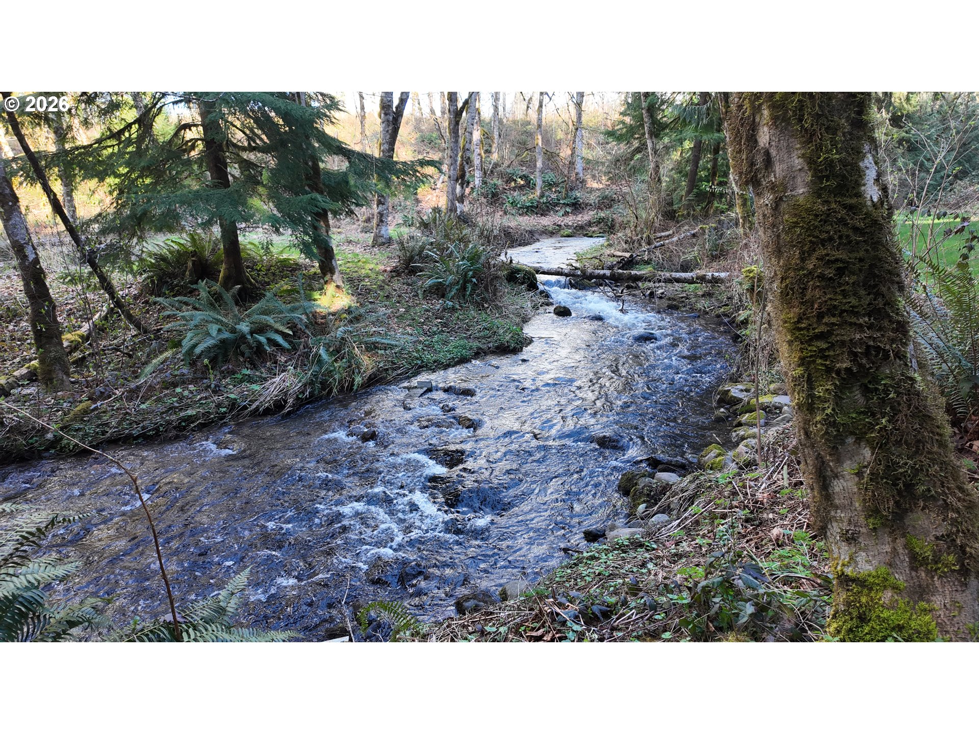 26022 South Elwood Road Colton, OR 97017 - Photo 45 of 46 Pond