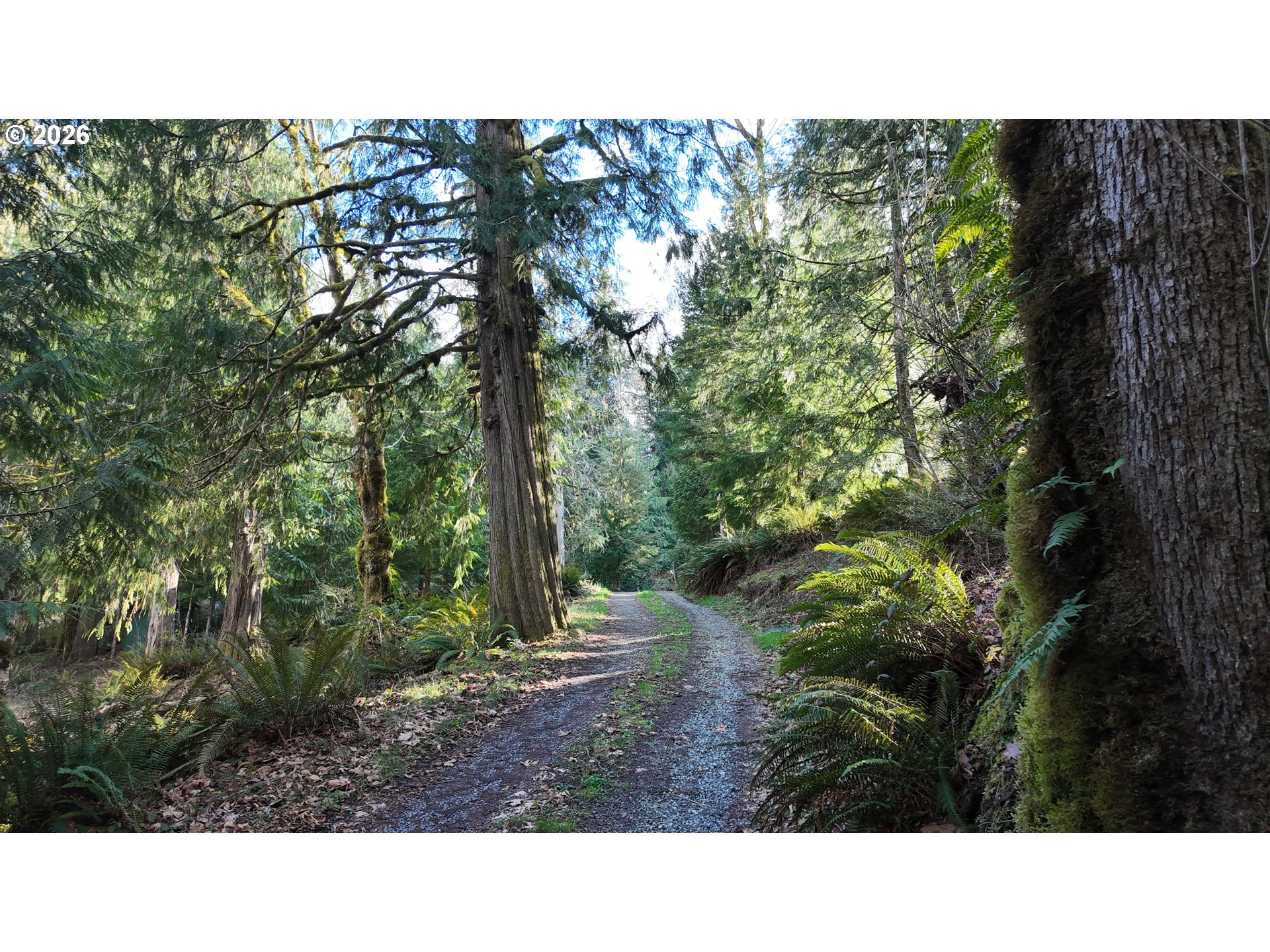26022 South Elwood Road Colton, OR 97017 - Photo 46 of 46 Creek
