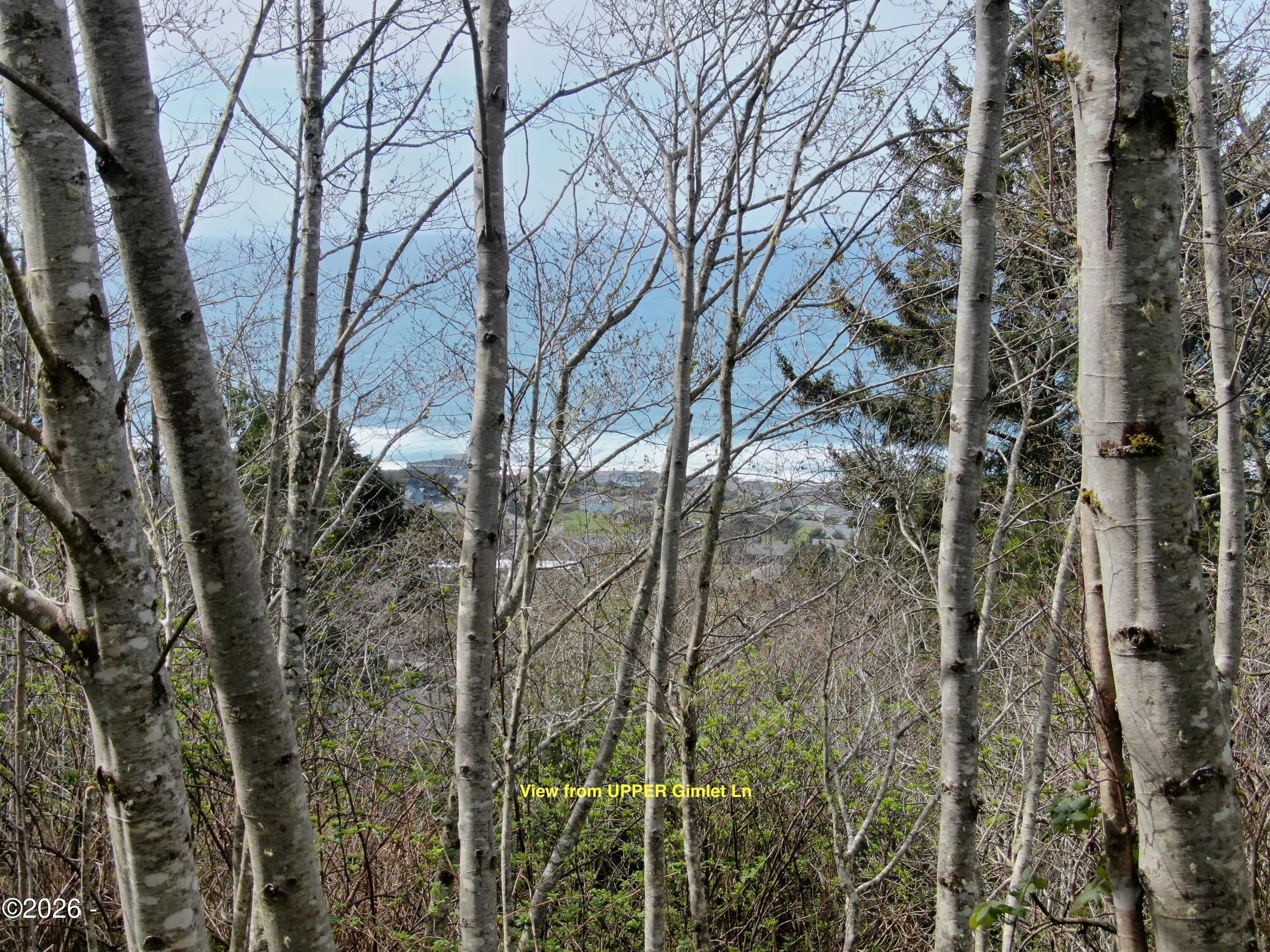 17 Gimlet Lane Yachats, OR 97498 - Photo 11 of 17 DJI_0301