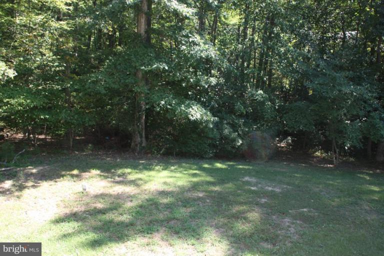 12908 Rousby Hall Road Lusby, MD 20657 - Photo 12 of 15 Back yard