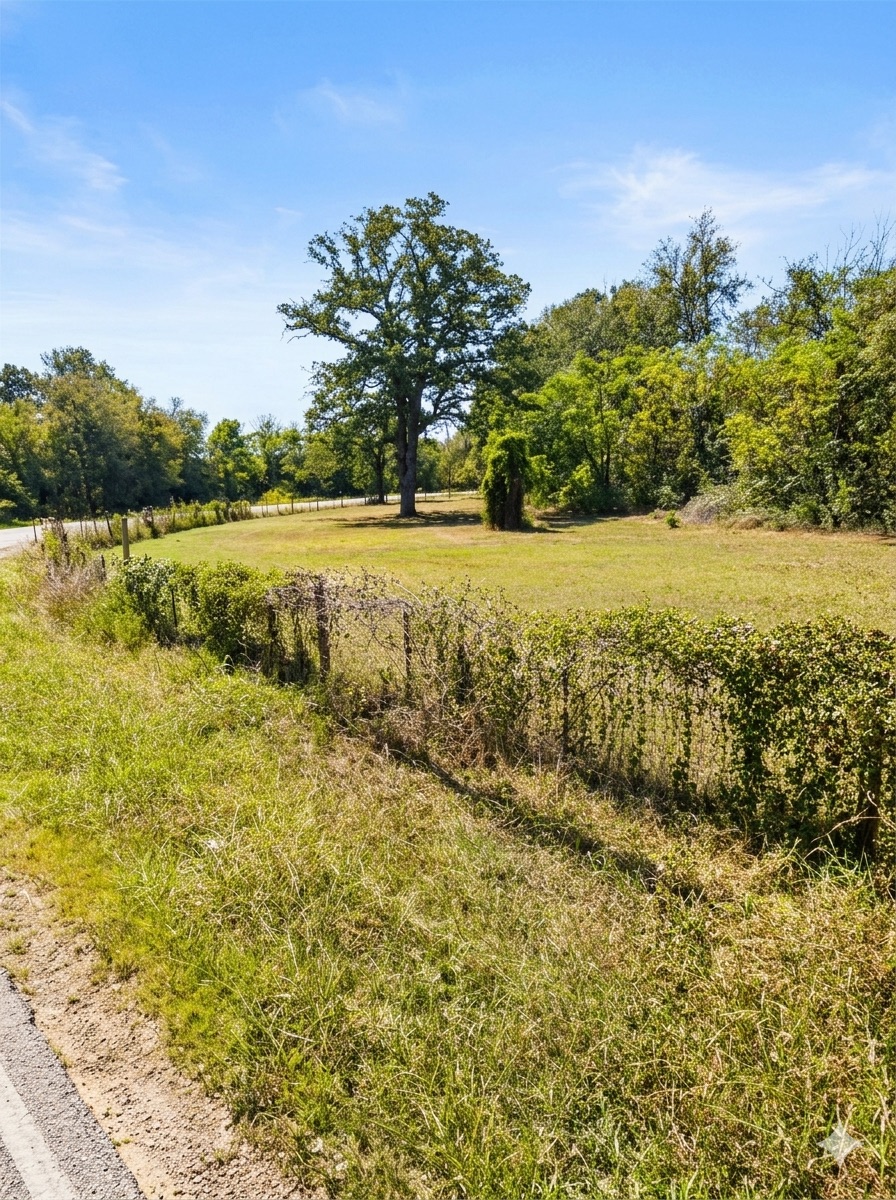 19925 Blake Manor Road Manor, TX 78653 - Photo 5 of 14 View of undeveloped land featuring rural landscape