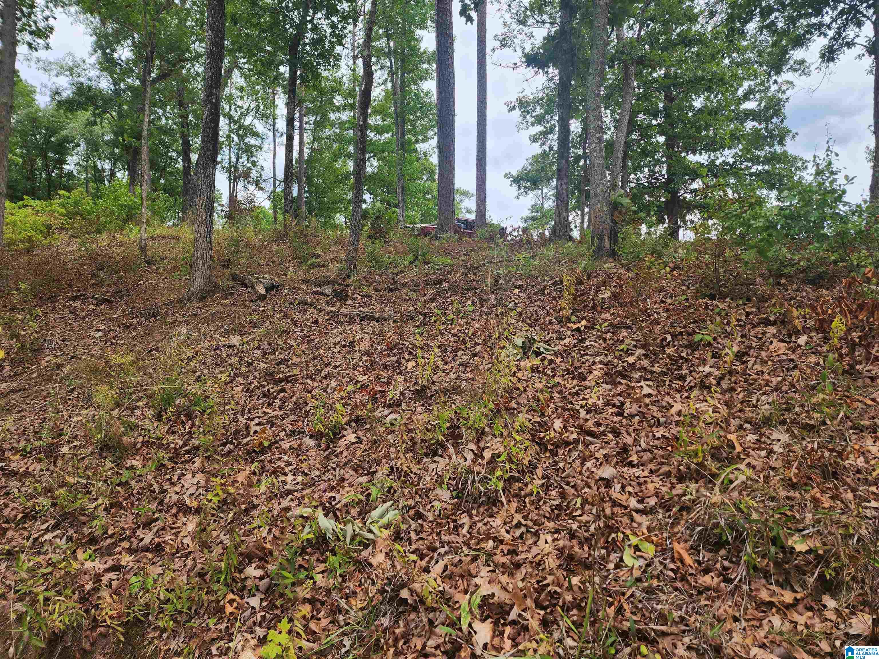 Lot 8 Eagle Mountain Road, Unit 8 Alexander City, AL 35010 - Photo 22 of 27