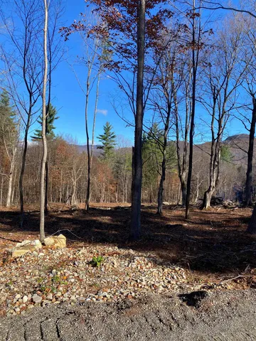 $425,000 | Lot A Frost Pond Road, Dorset, VT 05251