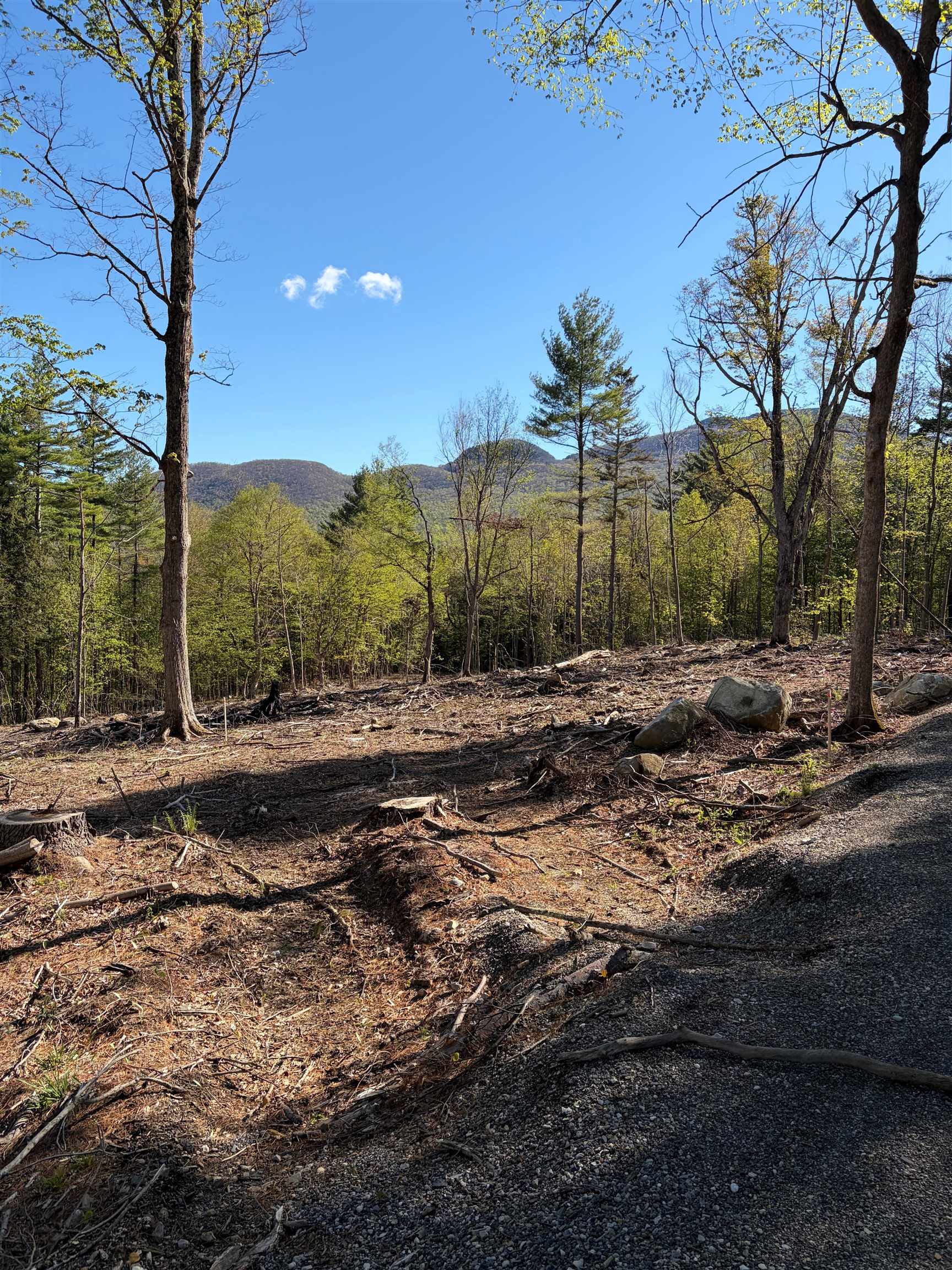 Lot A Frost Pond Road Dorset, VT 05251 - Photo 2 of 2