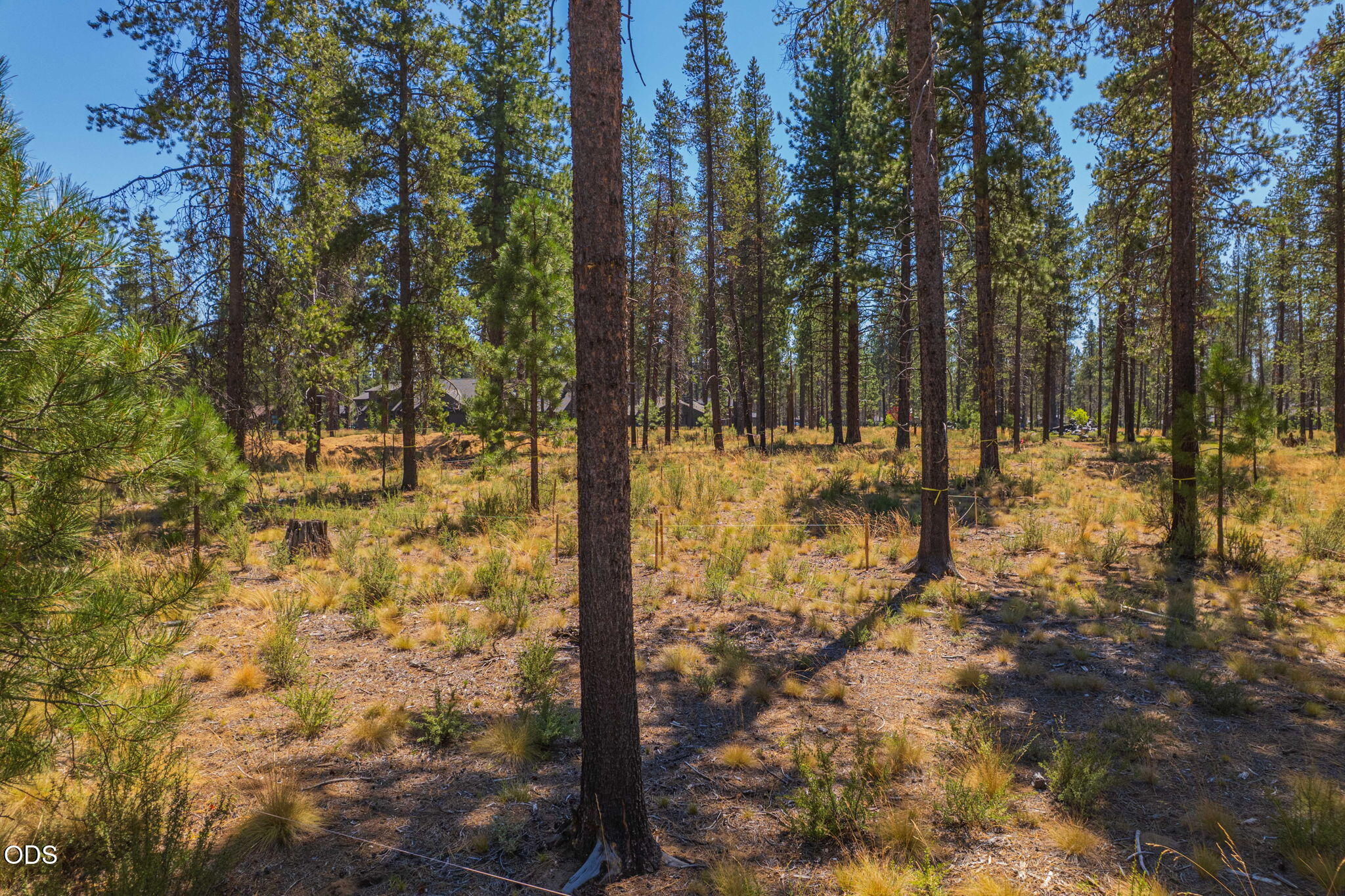 17736 Preservation Loop Bend, OR 97707 - Photo 2 of 15 Gallery Image 2