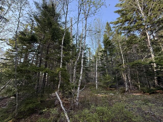 Lot 13 Pidgeon Point Road Whiting, ME 04691 - Photo 15 of 25 IMG_9965 (1)