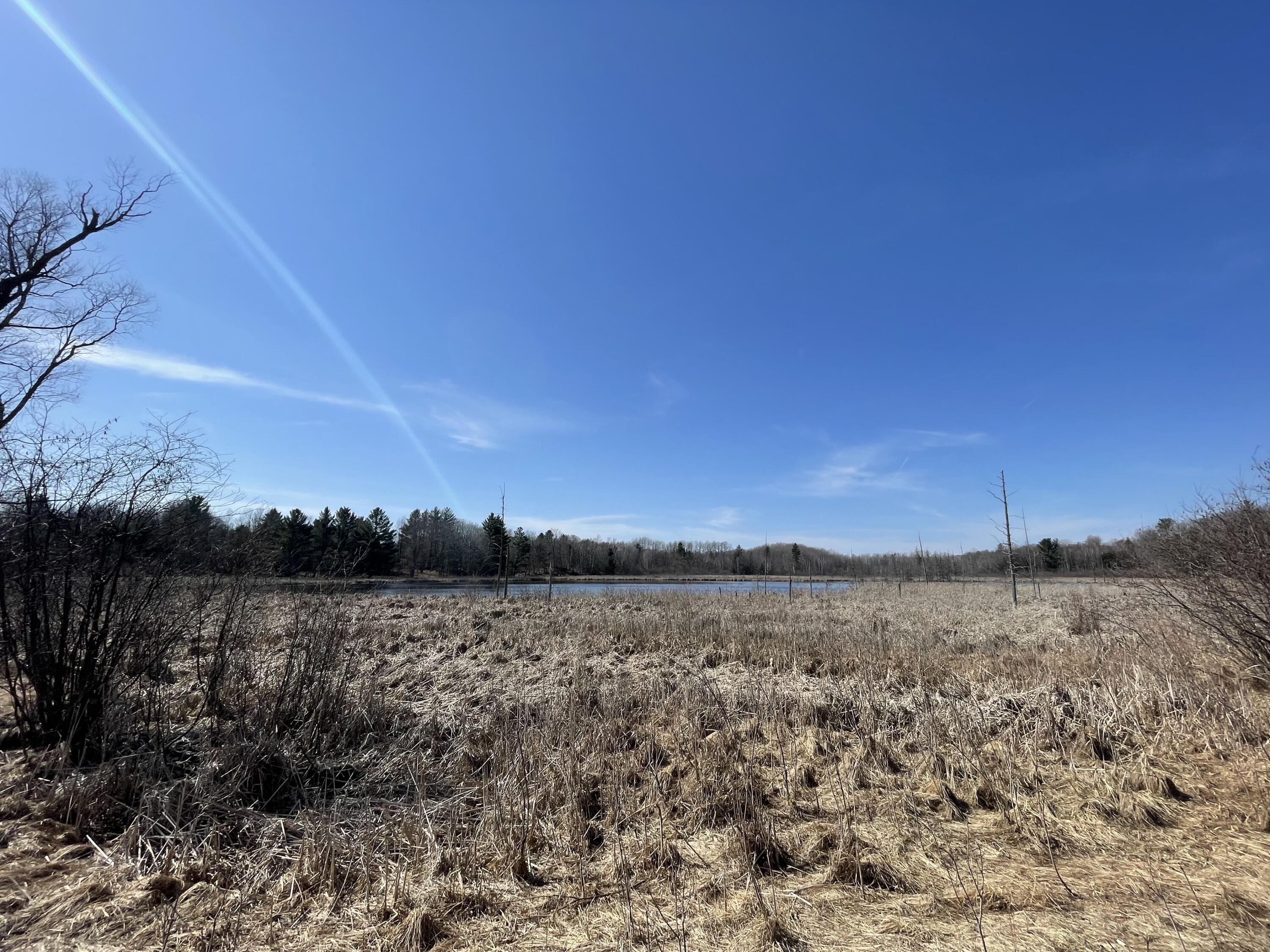 148 A 12 Mile Road Leroy, MI 49655 - Photo 11 of 24 11