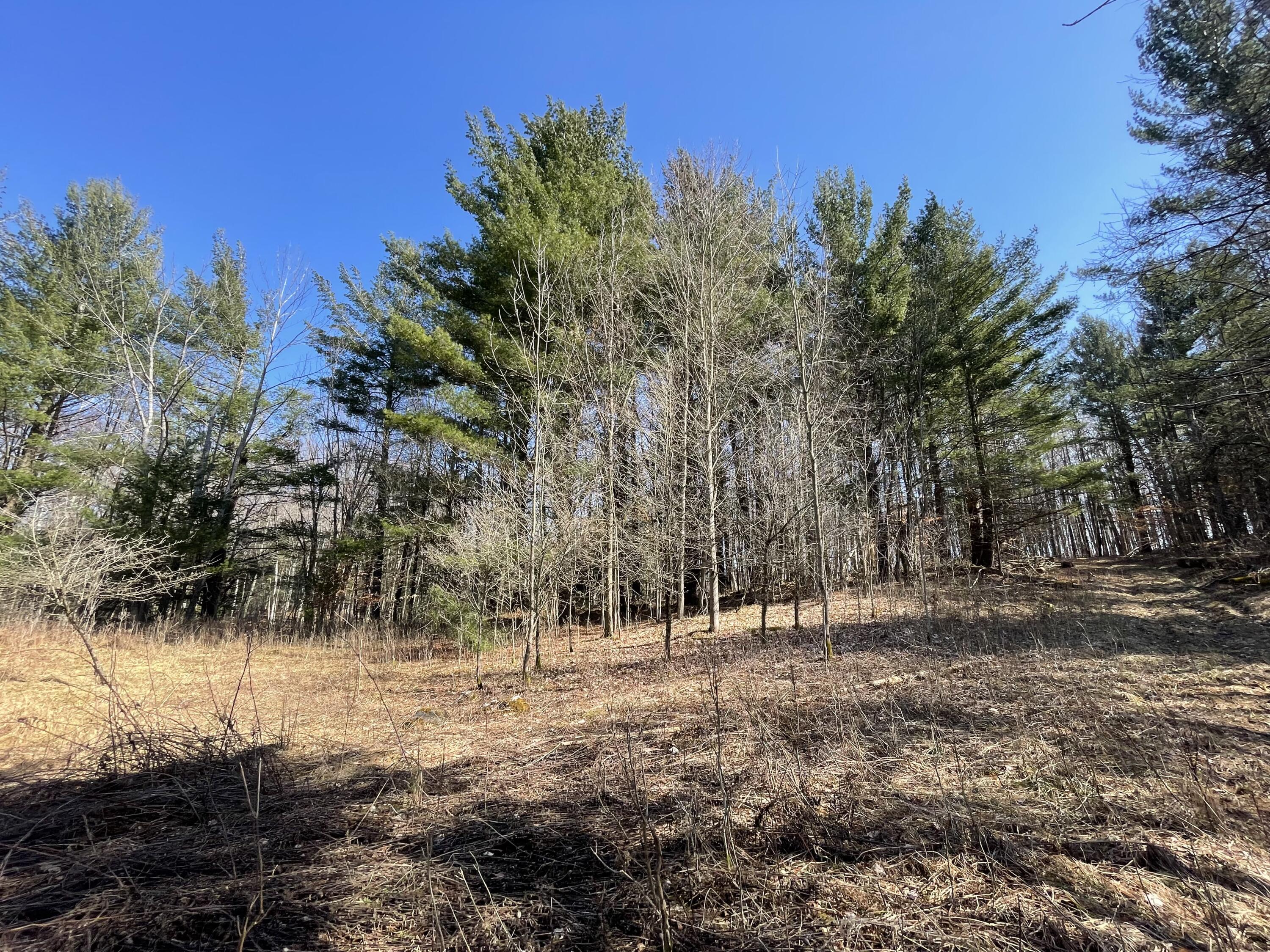 148 A 12 Mile Road Leroy, MI 49655 - Photo 13 of 24 13