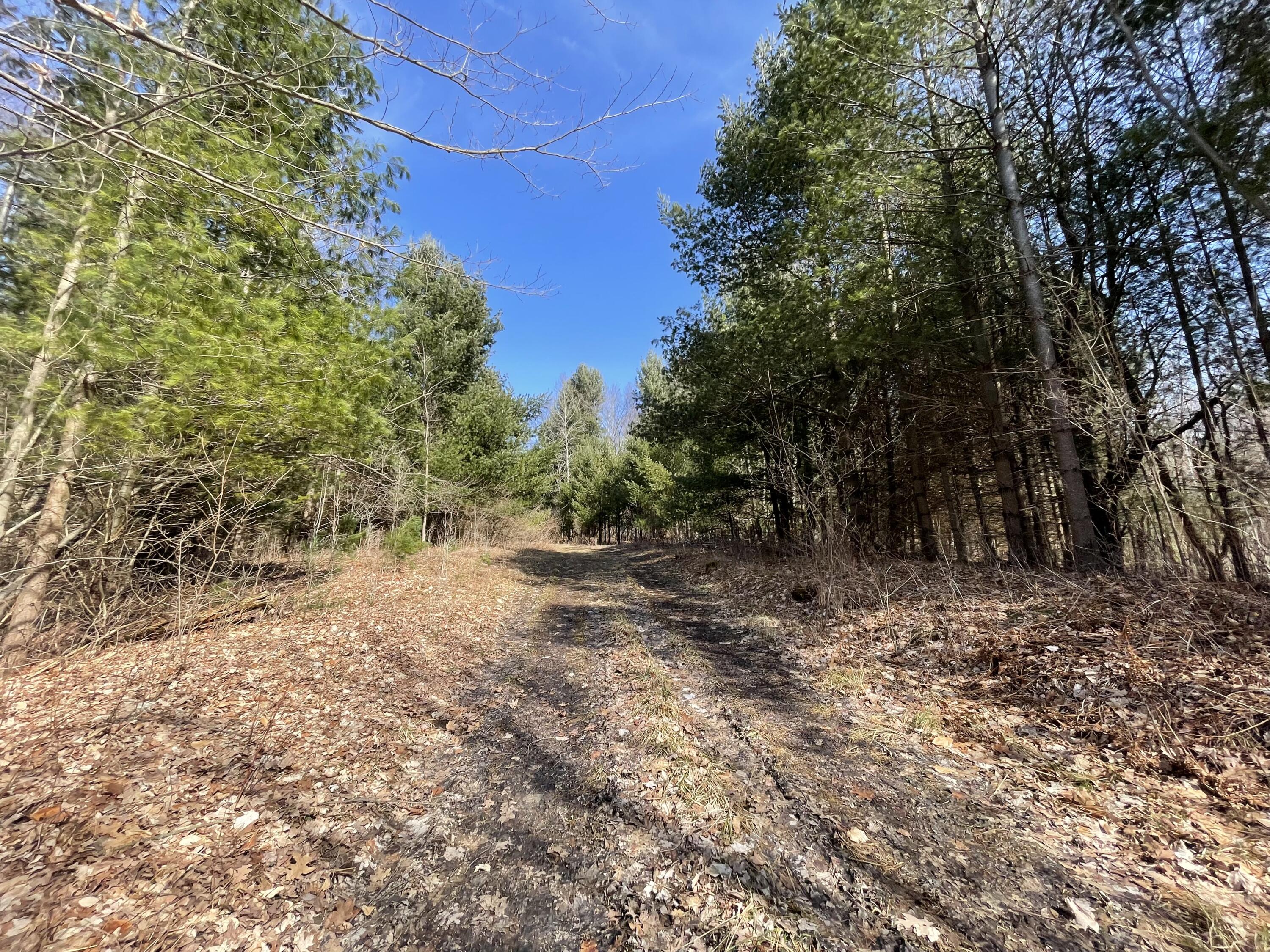148 A 12 Mile Road Leroy, MI 49655 - Photo 3 of 24 3