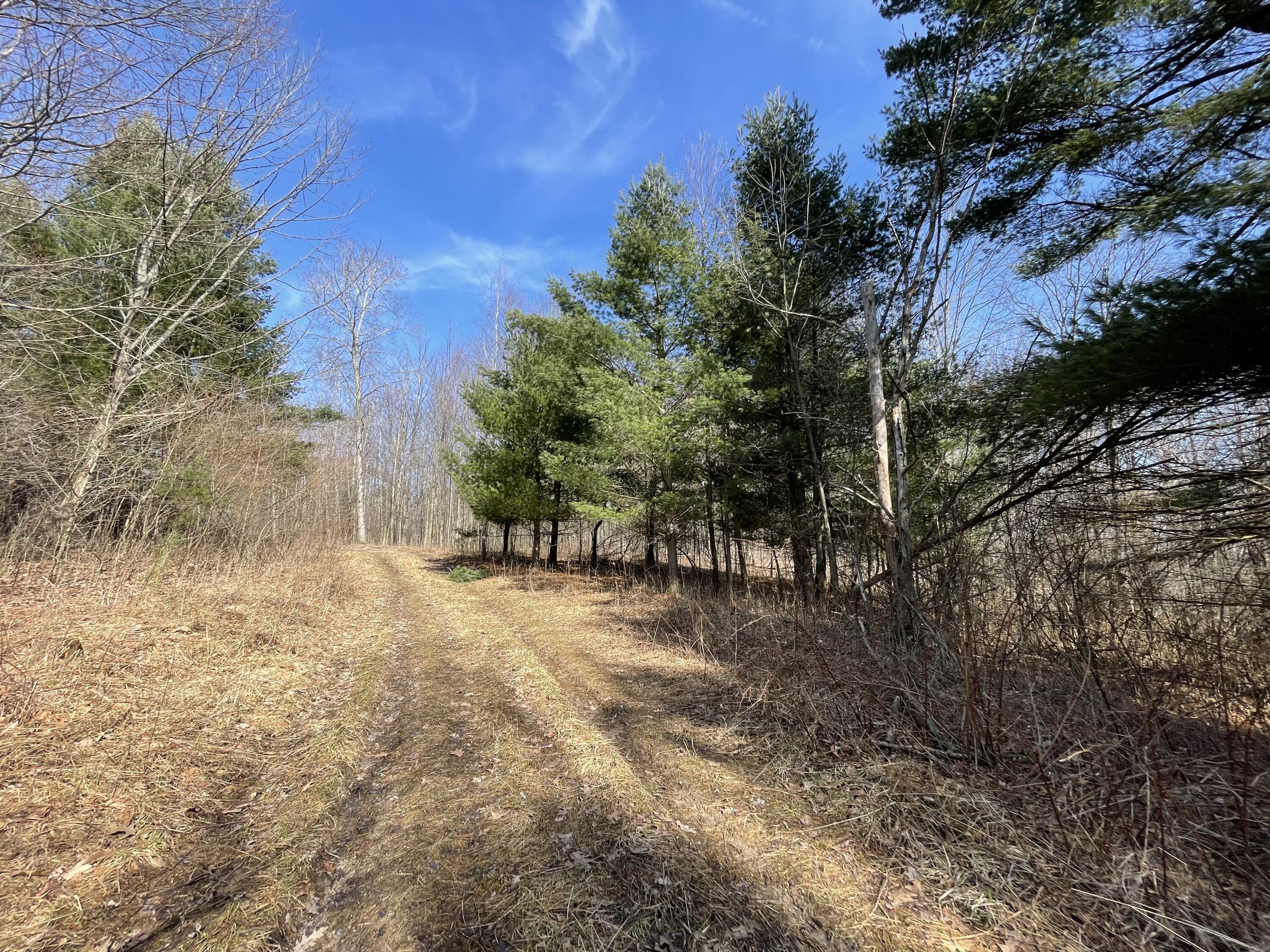 148 A 12 Mile Road Leroy, MI 49655 - Photo 4 of 24 4